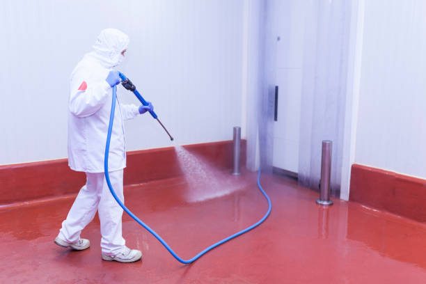 Boat and Dock Cleaning in Vardaman, MS